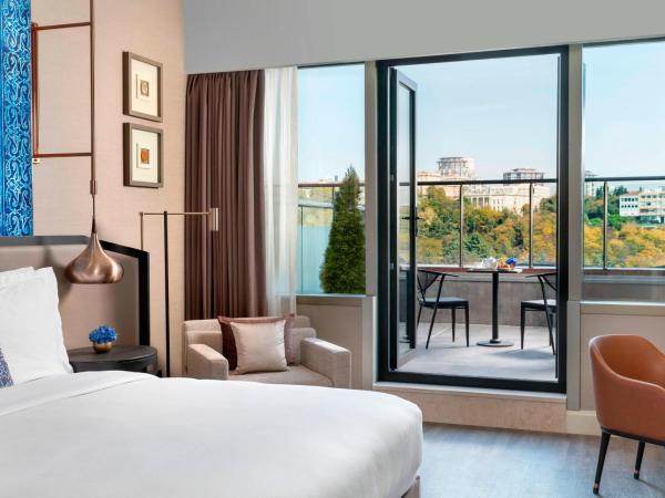The Ritz-Carlton, Istanbul at the Bosphorus : photo 6 de la chambre chambre avec balcon - vue sur parc