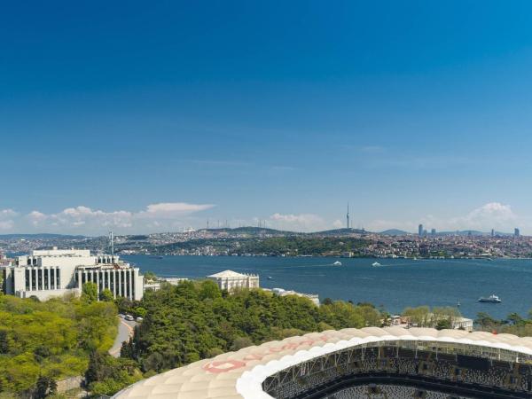 The Ritz-Carlton, Istanbul at the Bosphorus : photo 6 de la chambre chambre premium - vue sur bosphore
