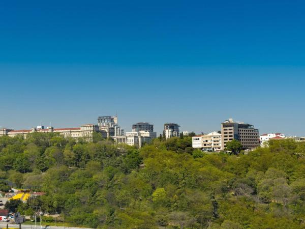 The Ritz-Carlton, Istanbul at the Bosphorus : photo 9 de la chambre chambre avec balcon - vue sur parc