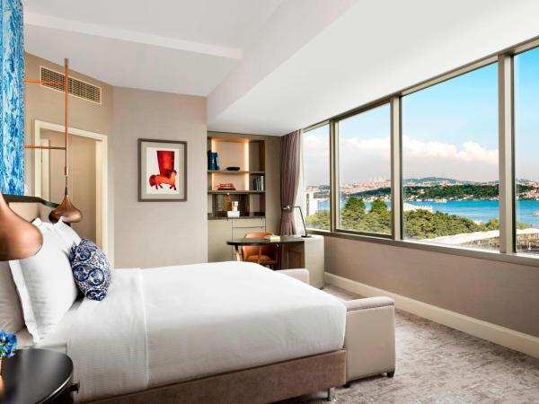 The Ritz-Carlton, Istanbul at the Bosphorus : photo 7 de la chambre chambre - vue directe sur bosphore