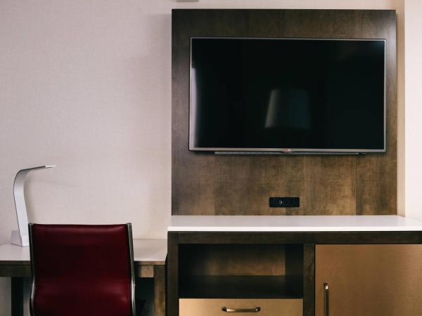 Marriott St. Louis Grand : photo 2 de la chambre chambre lit king-size