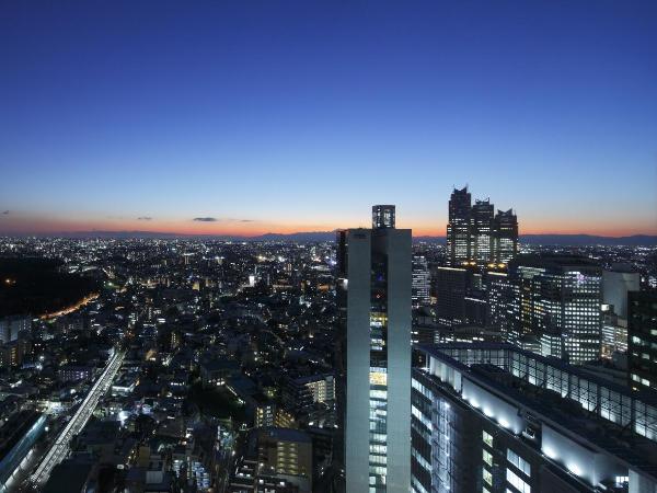 Odakyu Hotel Century Southern Tower : photo 1 de la chambre offre spéciale - chambre lit king-size panoramique - non-fumeurs