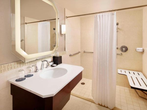 Sheraton New Orleans Hotel : photo 6 de la chambre chambre traditionnelle avec 1 lit king-size