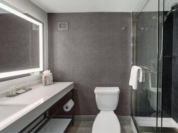 Houston Marriott North : photo 5 de la chambre lit king-size