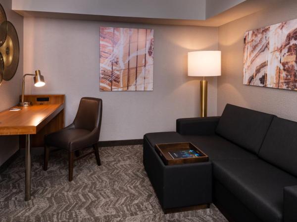 SpringHill Suites by Marriott Pittsburgh North Shore : photo 1 de la chambre studio lit queen-size avec canapé-lit