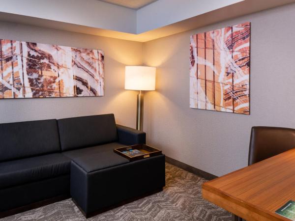 SpringHill Suites by Marriott Pittsburgh North Shore : photo 1 de la chambre studio lit king-size avec canapé-lit