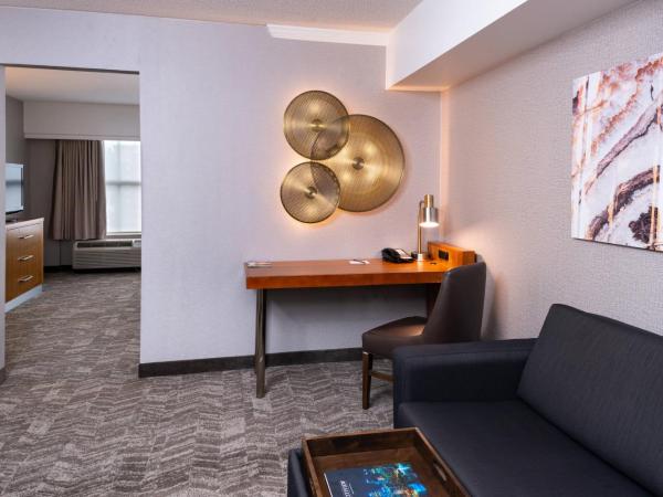 SpringHill Suites by Marriott Pittsburgh North Shore : photo 2 de la chambre executive king suite, 1 bedroom executive suite