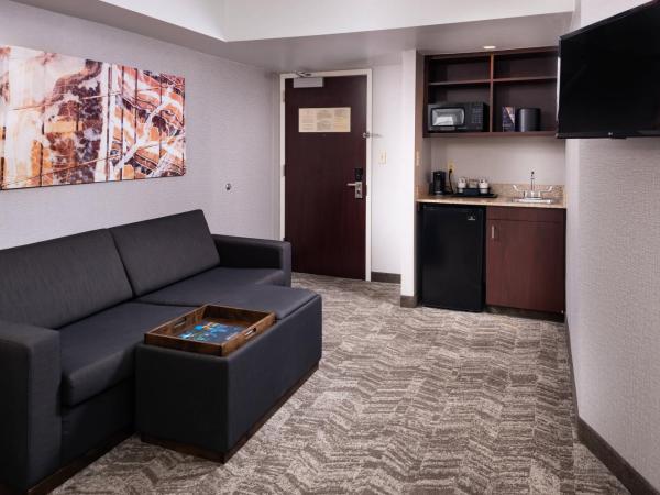 SpringHill Suites by Marriott Pittsburgh North Shore : photo 6 de la chambre executive king suite, 1 bedroom executive suite