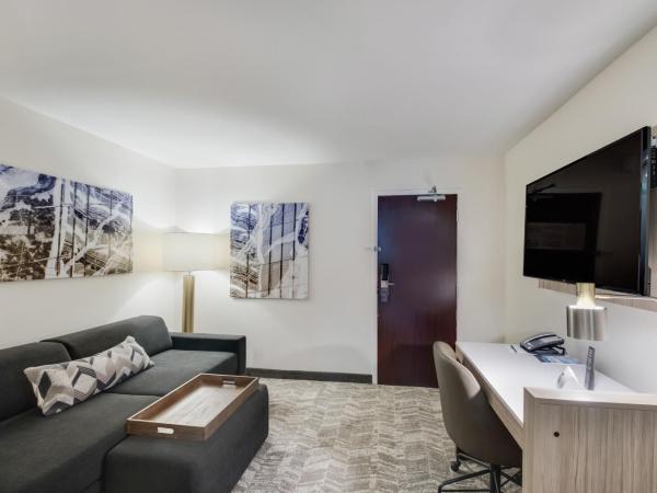 SpringHill Suites by Marriott Dallas NW Highway at Stemmons / I-35East : photo 1 de la chambre suite double avec canapé-lit