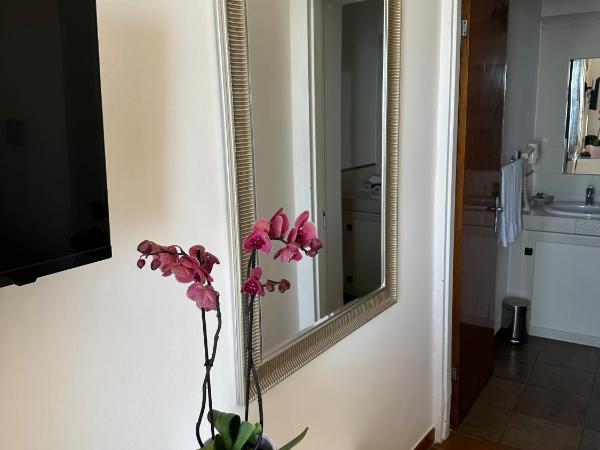 Villa Greta Hotel Rooms & Suites : photo 3 de la chambre chambre double ou lits jumeaux Économique