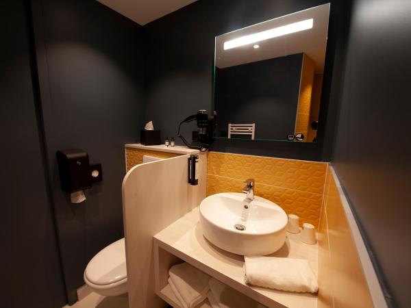 Comfort Hotel Clermont Saint Jacques : photo 3 de la chambre chambre lits jumeaux supérieure