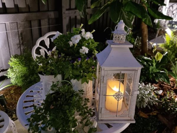 Edward Lodge New Fam : photo 6 de la chambre premium twin room/triple