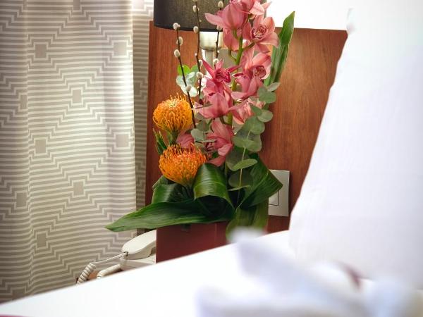 Mercure Perpignan Centre : photo 9 de la chambre chambre lits jumeaux standard
