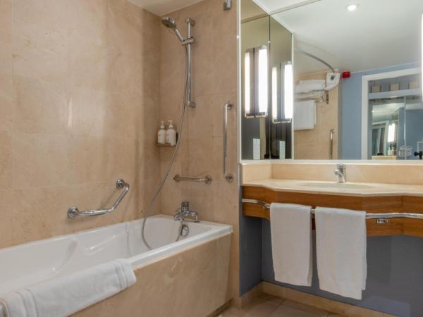 Holiday Inn Nice - Port St Laurent, an IHG Hotel : photo 7 de la chambre chambre double standard avec 2 lits doubles - vue sur ville