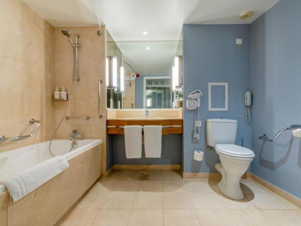 Holiday Inn Nice - Port St Laurent, an IHG Hotel : photo 9 de la chambre chambre double standard avec 2 lits doubles - vue sur ville