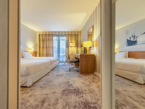 Holiday Inn Nice - Port St Laurent, an IHG Hotel : photo 3 de la chambre chambre standard 2 lits doubles - vue sur montagne et ville