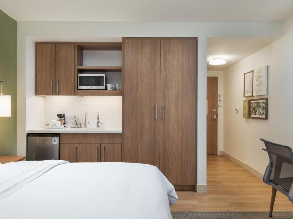 Element Denver Downtown East : photo 3 de la chambre studio 1 lit king-size