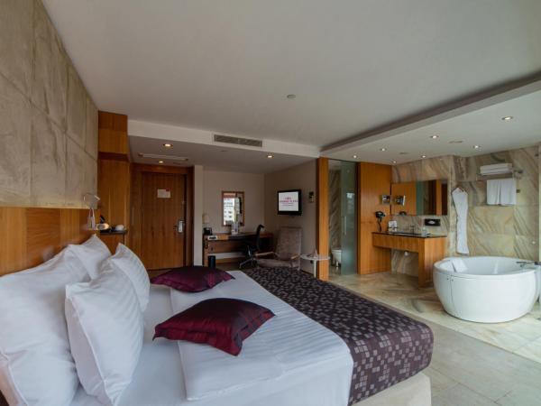 Crowne Plaza Istanbul Harbiye, an IHG Hotel : photo 4 de la chambre chambre lit king-size premium