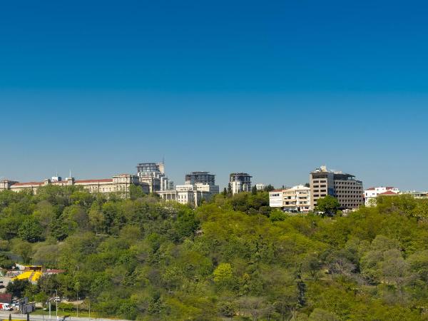 The Ritz-Carlton, Istanbul at the Bosphorus : photo 1 de la chambre chambre king avec vue sur le parc