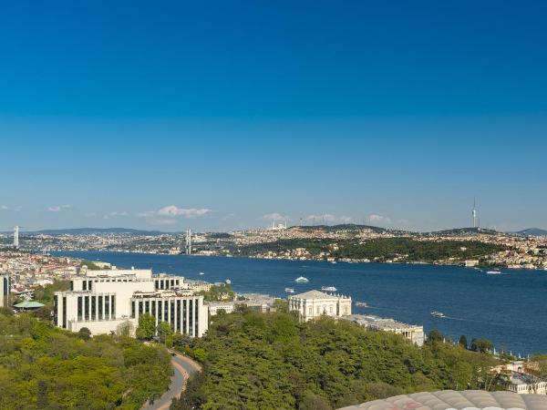 The Ritz-Carlton, Istanbul at the Bosphorus : photo 3 de la chambre chambre lits jumeaux - vue partielle sur bosphore