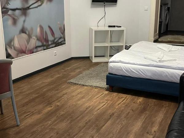 Albert rooms : photo 6 de la chambre studio