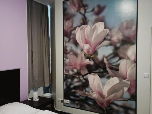 Albert rooms : photo 1 de la chambre appartement 2 chambres