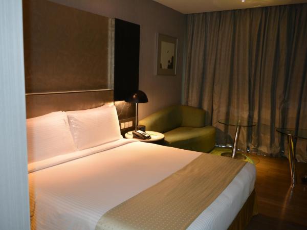 Holiday Inn New Delhi International Airport, an IHG Hotel : photo 2 de la chambre chambre premium 