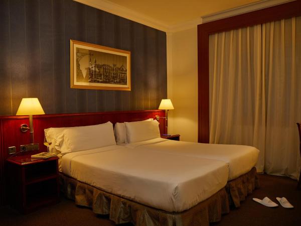 El Avenida Palace : photo 7 de la chambre chambre double (1-2 adultes)