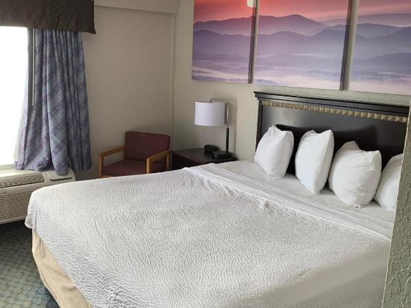 Days Inn by Wyndham Louisville Airport Fair and Expo Center : photo 2 de la chambre chambre lit king-size - non-fumeurs