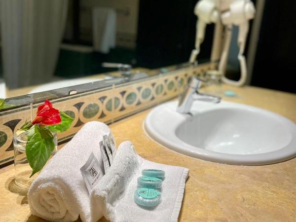 Hôtel Volubilis : photo 4 de la chambre chambre double standard