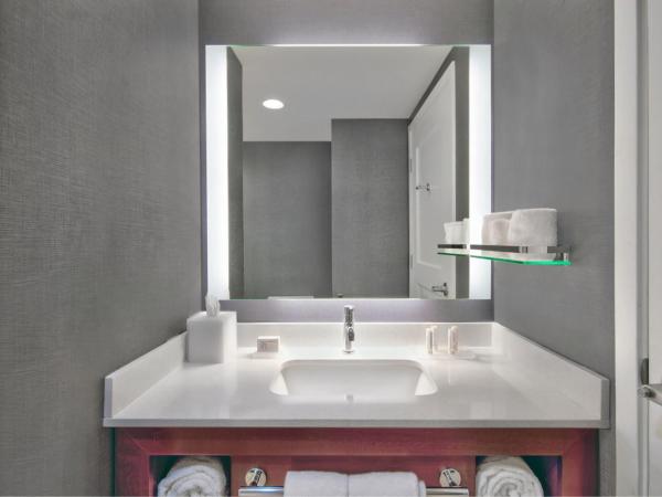 Residence Inn by Marriott Orlando at FLAMINGO CROSSINGS Town Center : photo 1 de la chambre suite 2 chambres avec chambre 1 : 1 lit king-size et chambre 2 : 1 lit king-size