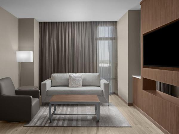 AC Hotel by Marriott Charlotte Ballantyne : photo 3 de la chambre grande chambre lit king-size deluxe