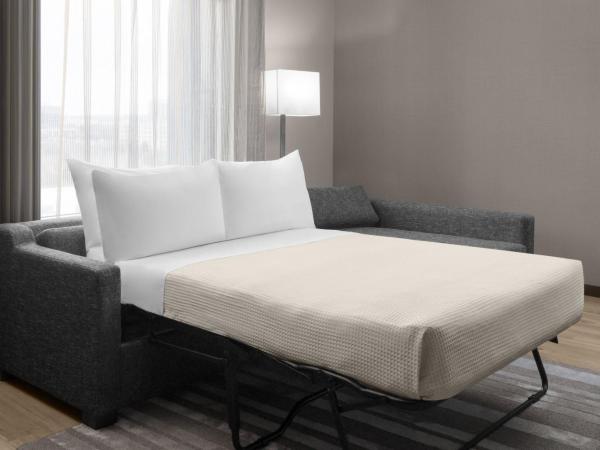 AC Hotel by Marriott Charlotte Ballantyne : photo 4 de la chambre chambre lit king-size