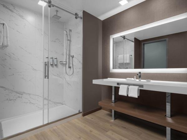 AC Hotel by Marriott Charlotte Ballantyne : photo 4 de la chambre chambre lit king-size - vue sur ville