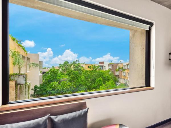 Aloft Tulum : photo 3 de la chambre chambre double avec 2 lits doubles - vue sur jungle