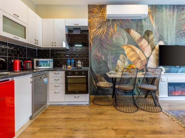 BayMari Suites Plus Florya : photo 10 de la chambre appartement 1 chambre