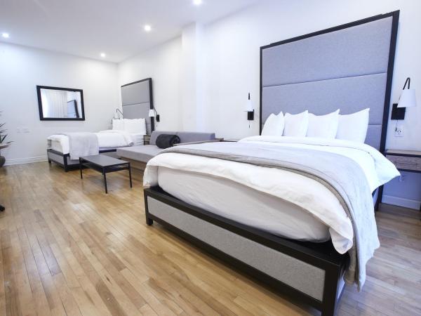 hotel & spa Carré Saint-Louis : photo 4 de la chambre loft familial avec 2 lits queen-size et canapé-lit
