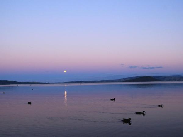 Lakeview Small Studio : photo 8 de la chambre grande villa