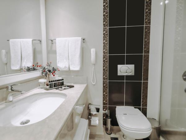 New Park Hotel : photo 10 de la chambre suite avec accès gratuit au salon exécutif