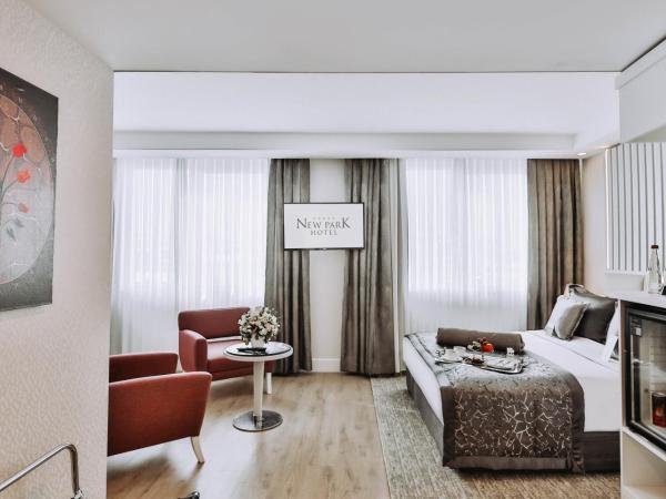 New Park Hotel : photo 7 de la chambre chambre lit queen-size deluxe