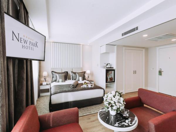 New Park Hotel : photo 3 de la chambre chambre lit queen-size deluxe