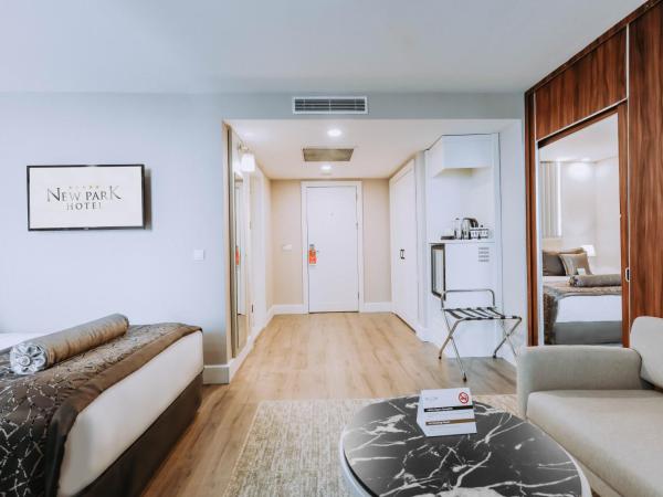 New Park Hotel : photo 6 de la chambre chambre familiale