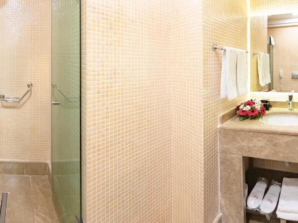 Grand Makel Hotel Topkapi : photo 4 de la chambre suite d’angle - vue sur ville