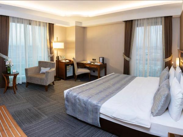 Grand Makel Hotel Topkapi : photo 1 de la chambre chambre double ou lits jumeaux supérieure avec vue sur ville