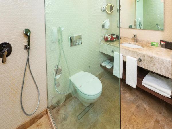 Grand Makel Hotel Topkapi : photo 4 de la chambre chambre double ou lits jumeaux supérieure avec vue sur ville