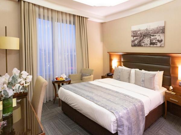 Grand Makel Hotel Topkapi : photo 1 de la chambre chambre double ou lits jumeaux - vue sur ville