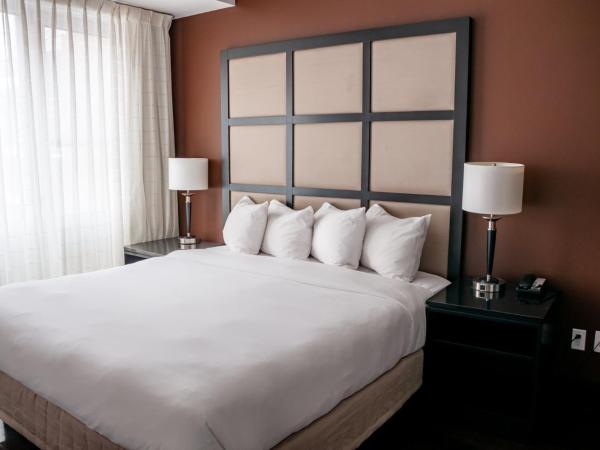 M Montreal Hostel : photo 4 de la chambre studio 2 lits king-size