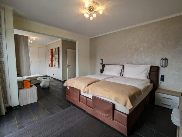 Boutique Hotel Albergo Brione : photo 2 de la chambre suite junior supérieure avec balcon