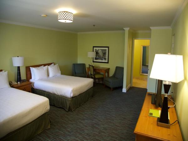 The University Inn at Emory : photo 3 de la chambre chambre double de luxe avec baignoire privative