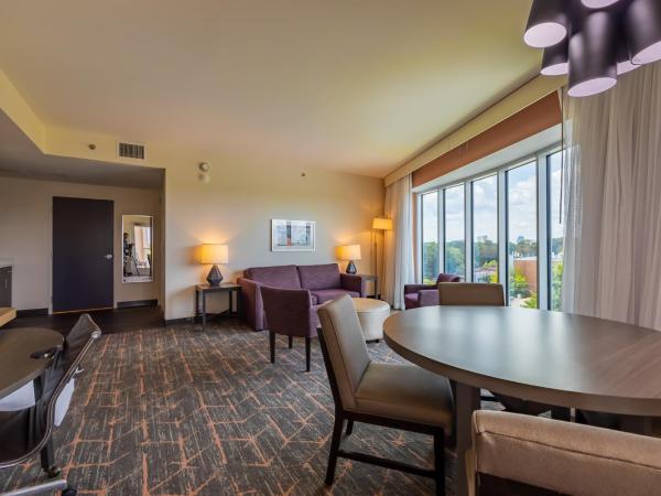 Hotel Spice & Sky Atlanta Perimeter : photo 1 de la chambre suite lit king-size avec balcon